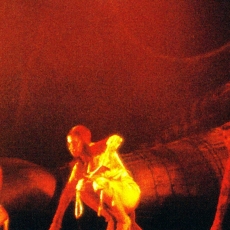 Mylène Farmer - Mylenium Tour - L'Âme-Stram-Gram - Photographe : Claude Gassian