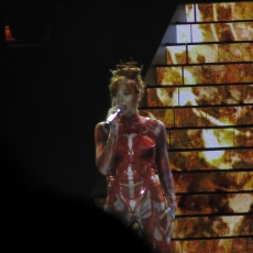 mylene-farmer-tour-2009-photo-fan-101