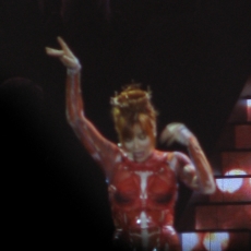 mylene-farmer-tour-2009-photo-fan-109