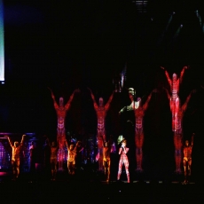 Mylène Farmer - Tour 2009