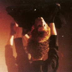 Mylène Farmer chante "Pourvu qu'elles soient douces" sur le "Tour 89" - Photographe : Marianne Rosenstiehl