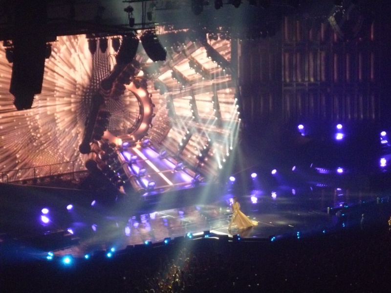 mylene-farmer-timeless-2013-paris-bercy-11-septembre-photos-fans-033