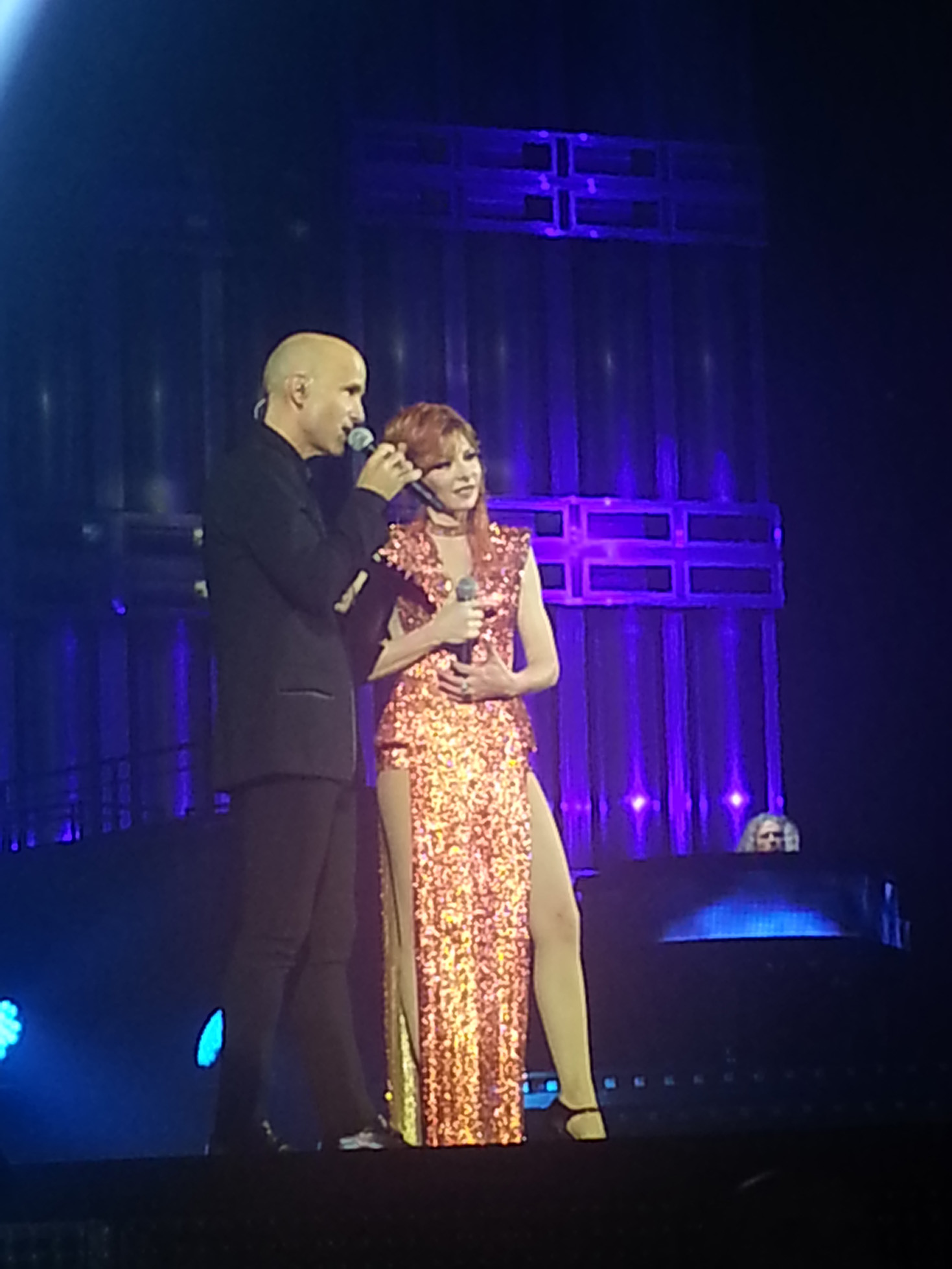 mylene-farmer-timeless-2013-paris-bercy-17-septembre-photos-fans-201