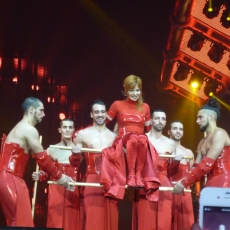 Mylène Farmer - Timeless 2013 - Concert du 20 novembre Gayant Expo Douai - Photos non officielles