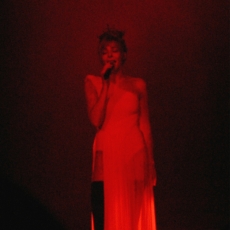 Tour 2009 - Zénith de Strasbourg - 6 juin 2009 - Photo Fan