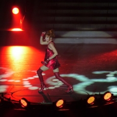 Mylène Farmer - Tour 2009 - Toulouse - 15 mai 2009 - Photos fans