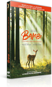 Bambi, l'histoire d'une vie dans les bois - DVD