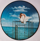 Mylène Farmer Innamoramento Double Vinyle Picture Disc 2022