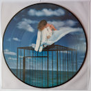 Mylène Farmer Innamoramento Double Vinyle Picture Disc 2022