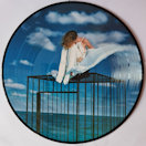 Mylène Farmer Innamoramento Double Vinyle Picture Disc 2022