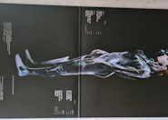 Mylène Farmer - Album L'Emprise - Double Vinyle