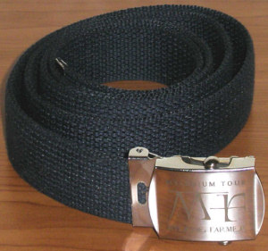 Mylenium Tour - Ceinture