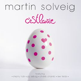Martin Solveig C'est la vie