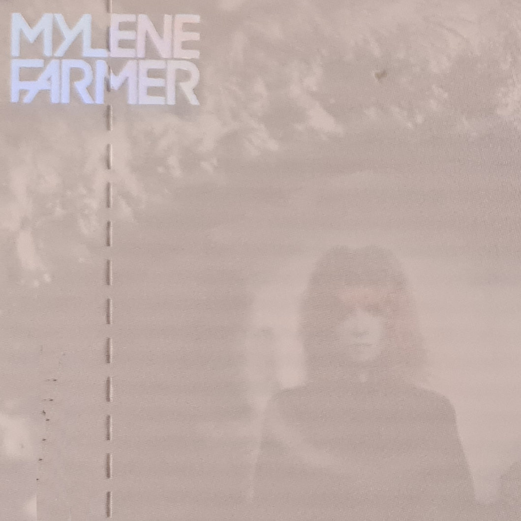 La chute est lente lyrics